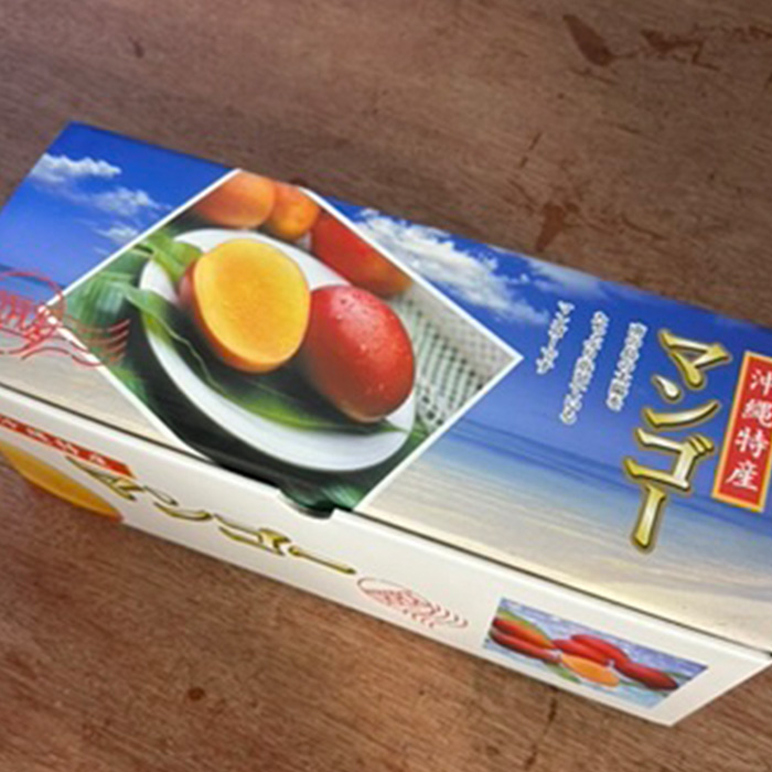 沖縄県金武町産アップルマンゴー（良品1kg）｜前田農園 | 前田農園shop